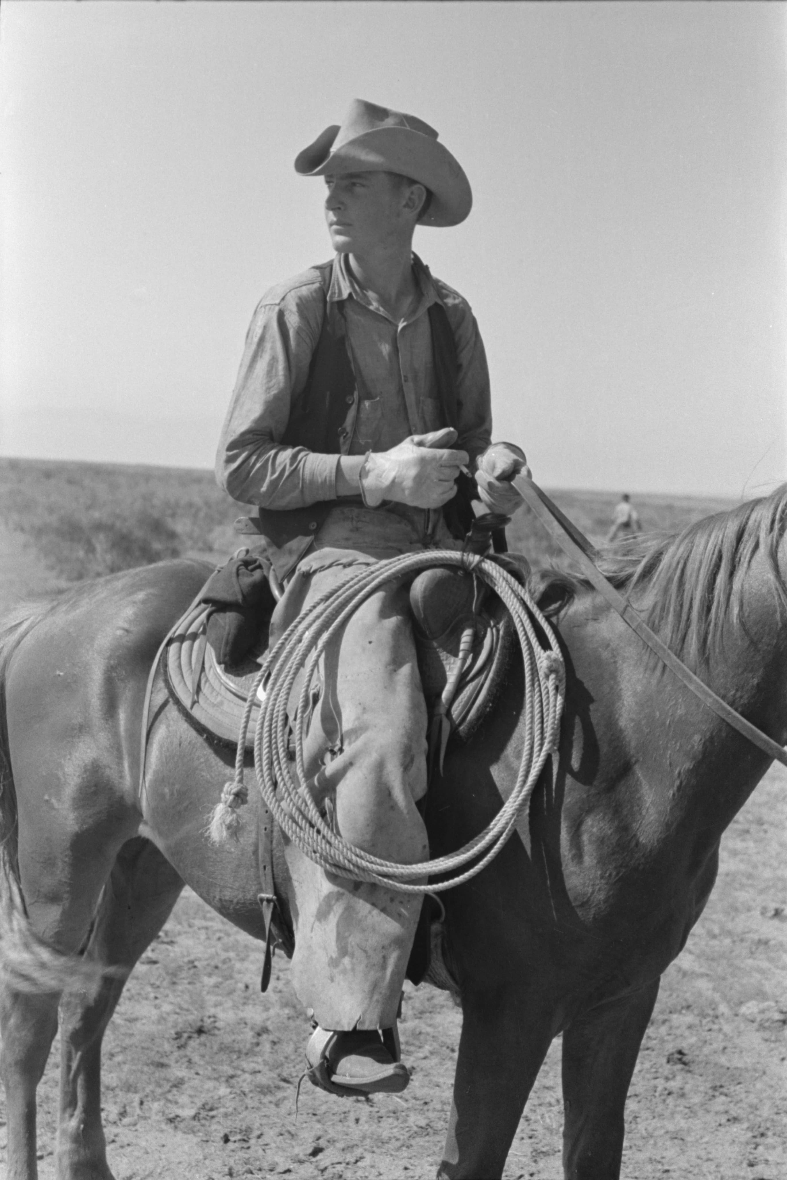 A working cowboy on horseback with a coiled rope