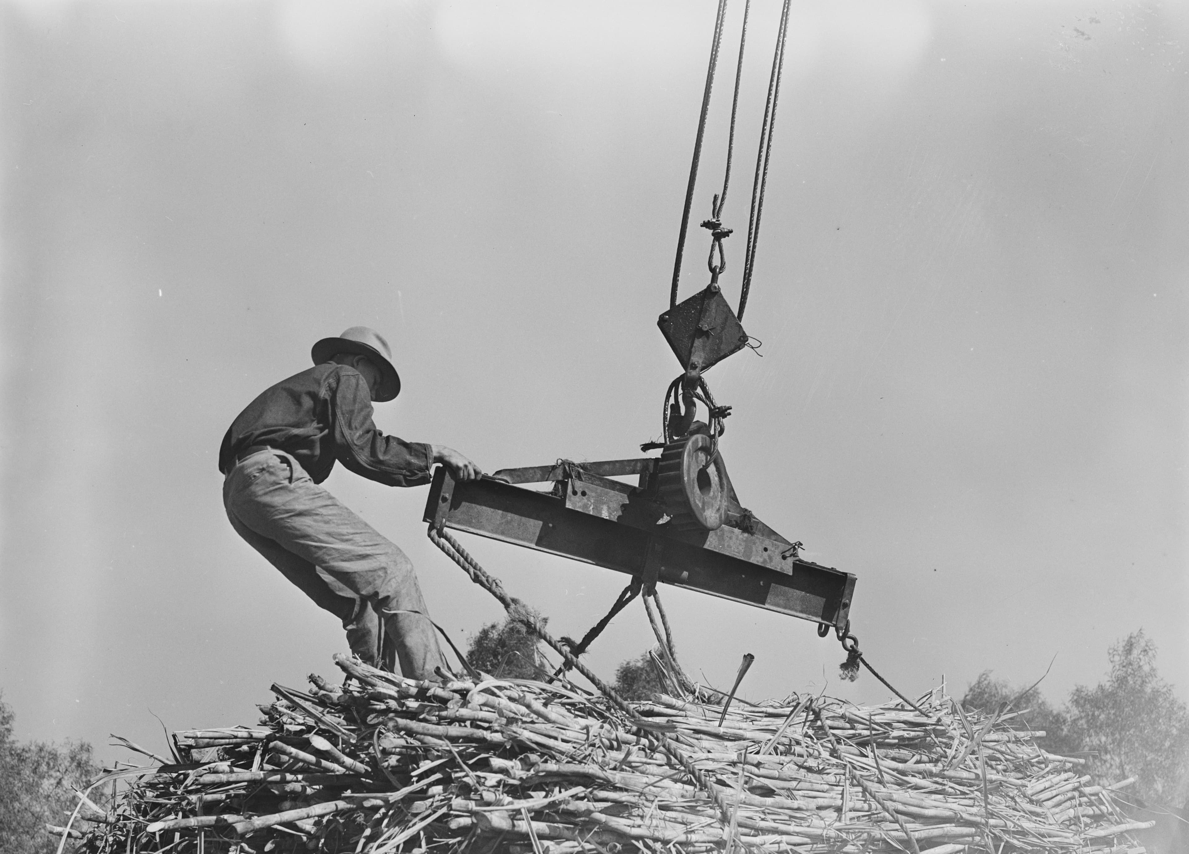 A sugarcane worker positioning hoisting equipment at a mill